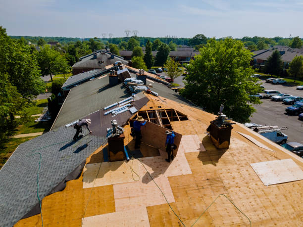 Best Roof Repair Services  in Howard City, MI