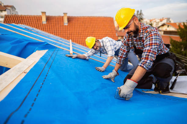 Sealant for Roof in Howard City, MI