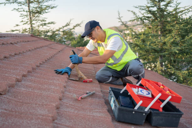 Best Roof Restoration Services  in Howard City, MI